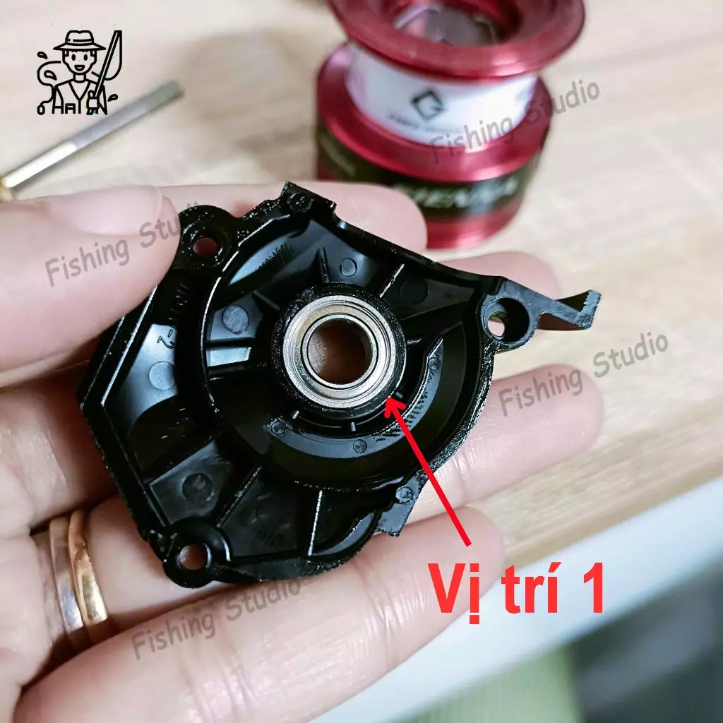 Vòng bi bạc đạn máy câu SHIMANO SIENNA (Ball Bearing Kits For SIENNA) - Ảnh 3