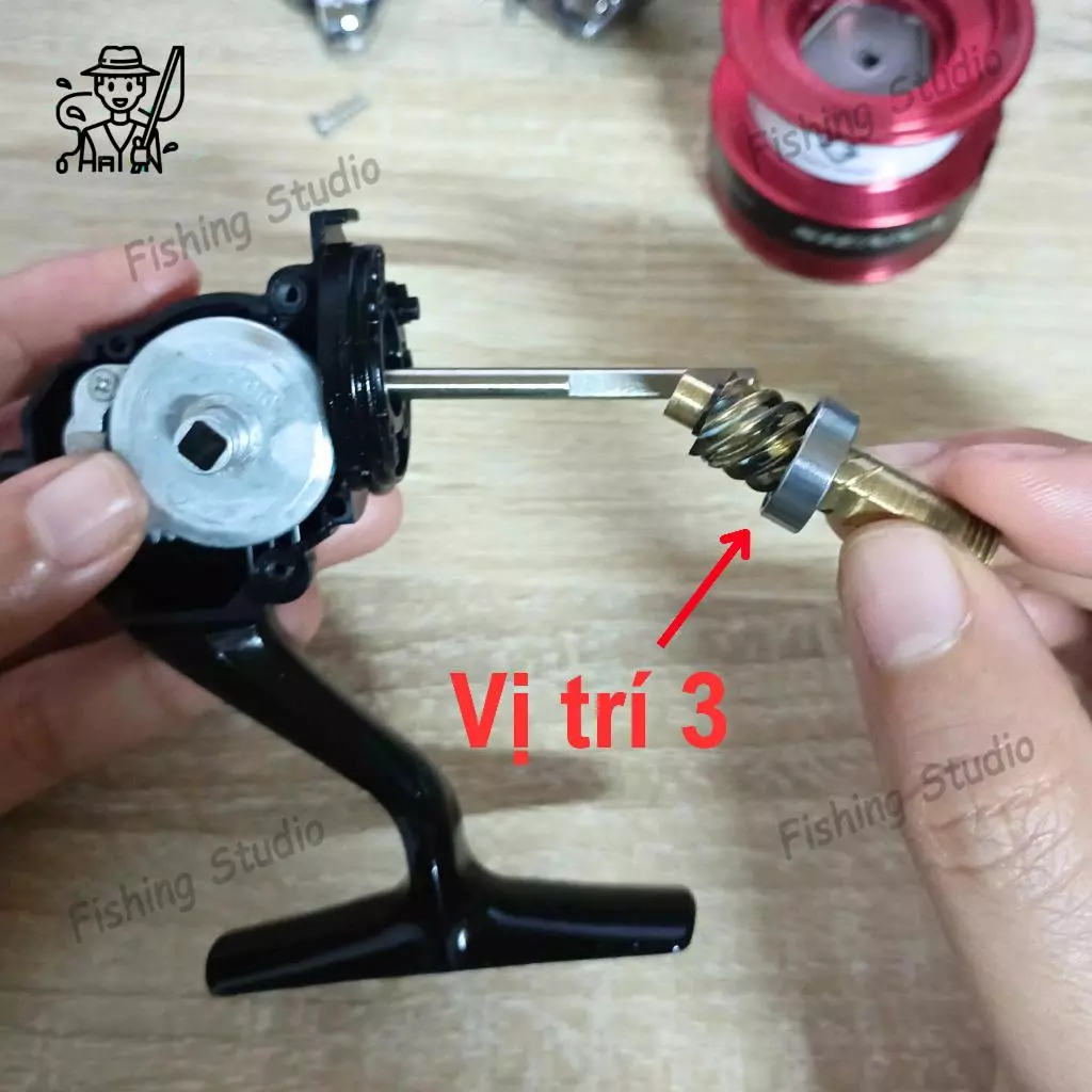 Vòng bi bạc đạn máy câu SHIMANO SIENNA (Ball Bearing Kits For SIENNA) - Ảnh 5