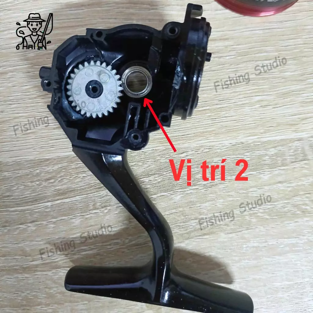 Vòng bi bạc đạn máy câu SHIMANO SIENNA (Ball Bearing Kits For SIENNA) - Ảnh 4