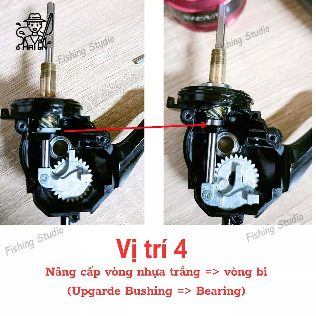 Vòng bi bạc đạn máy câu SHIMANO SIENNA (Ball Bearing Kits For SIENNA) - Ảnh 6