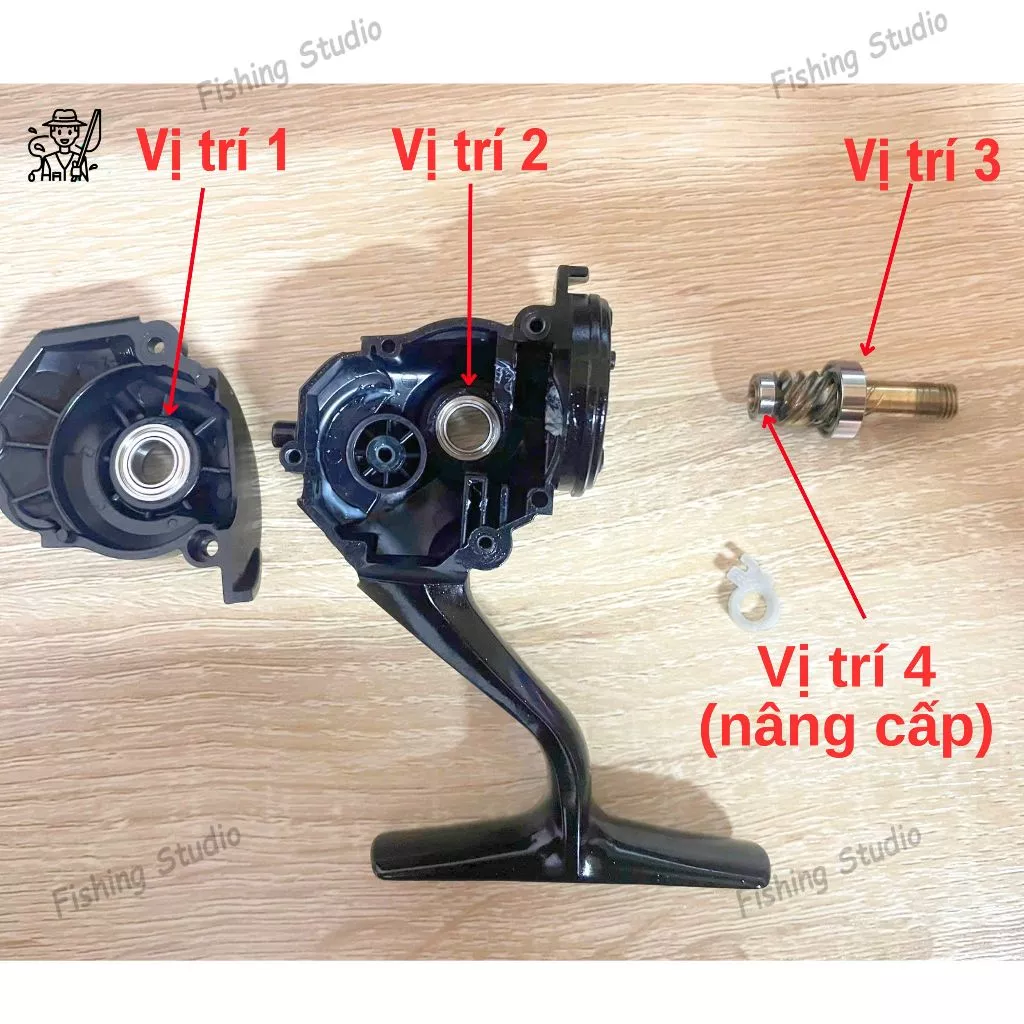 Vòng bi bạc đạn máy câu SHIMANO SIENNA (Ball Bearing Kits For SIENNA) - Ảnh 7