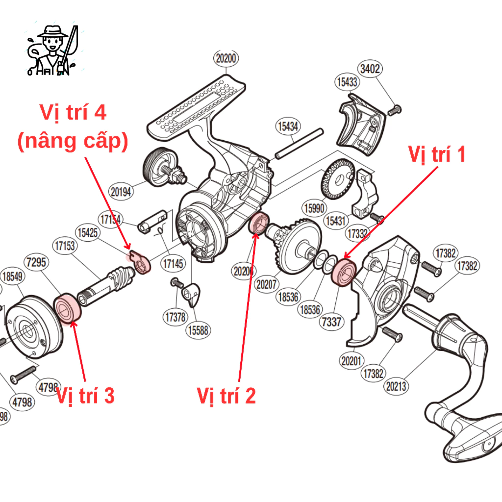 Vòng bi bạc đạn máy câu SHIMANO SIENNA (Ball Bearing Kits For SIENNA) - Ảnh 2
